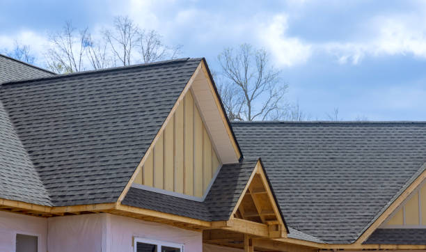 Best Rubber Roofing (EPDM, TPO)  in Rolling Meadows, IL